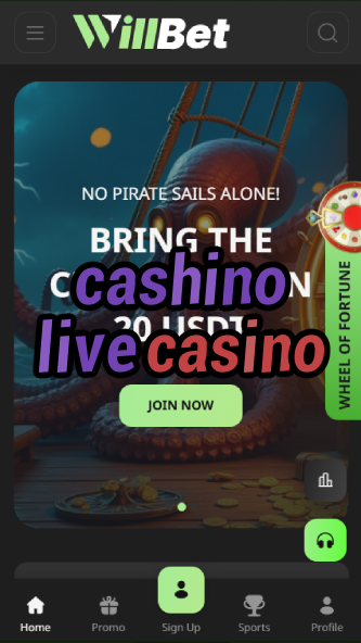 cashino live casino-bandasonoracasino.asdasdzhjkds.com